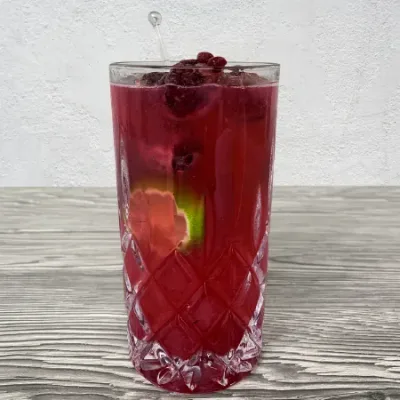 Mojito Zarzamora